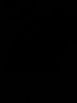LIVE - 2026-07-31 02:30