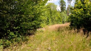 V_20240712_132127_OC7V17b 4K(NV).mp4