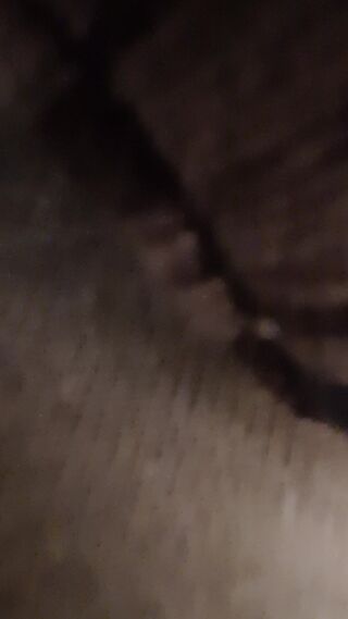 20260802_150303.mp4