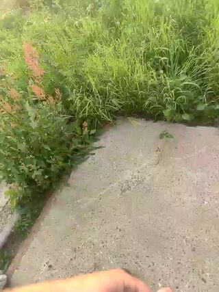 LIVE - 2026-08-03 20:07