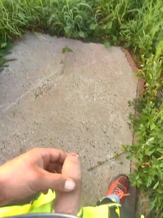 LIVE - 2026-08-03 20:07