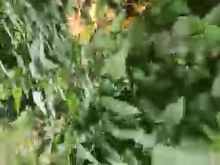 duzo_pytan42
