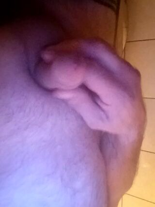 LIVE - 2026-08-04 05:27