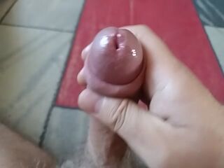 LIVE - 2026-08-14 16:40