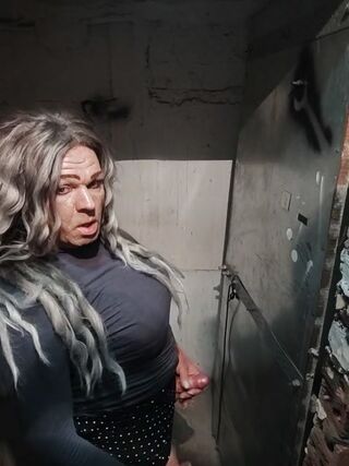 LIVE - 2026-08-15 02:17