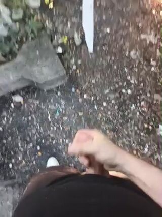 duzo_pytan42