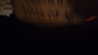 20260816_042620.mp4