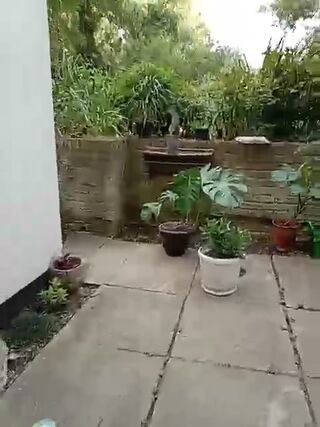 LIVE - 2026-08-16 08:38