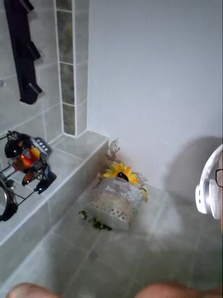 LIVE - 2026-08-17 01:59
