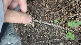 1000025738.mp4