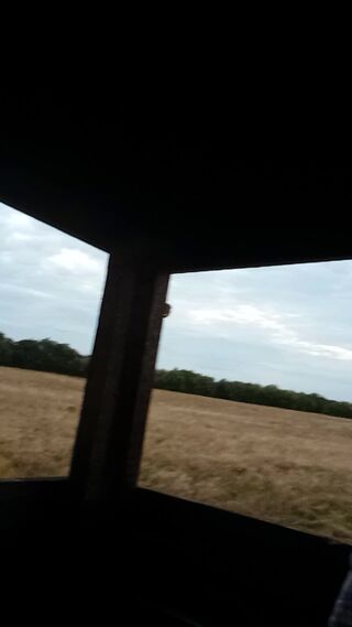 VID_20260819_201128.mp4
