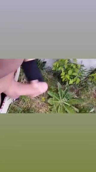 Pedro_pv
