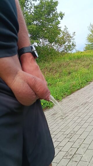 VID20260822174503.mp4