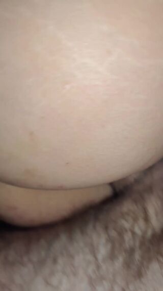 12685.mp4