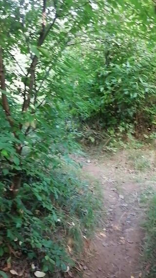 VID_20260824_164232.mp4