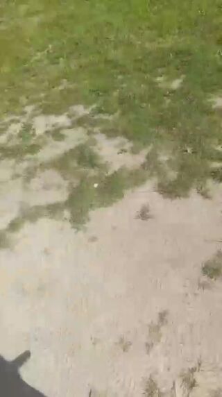 VID_20260823_032124_596.mp4