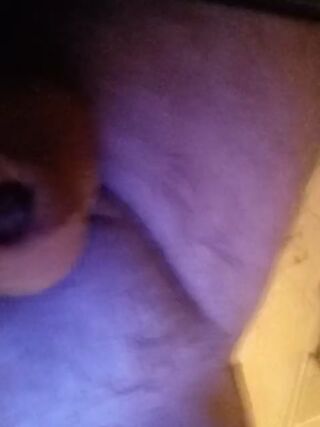 LIVE - 2026-08-28 03:55