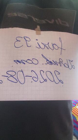 fazi93