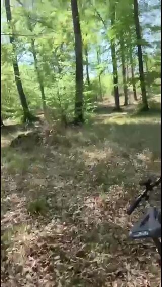 video.mp4
