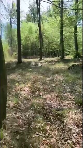video.mp4