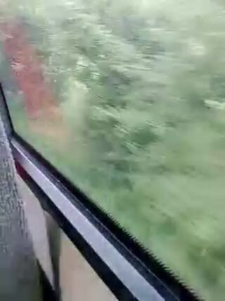 LIVE - 2026-08-31 06:32