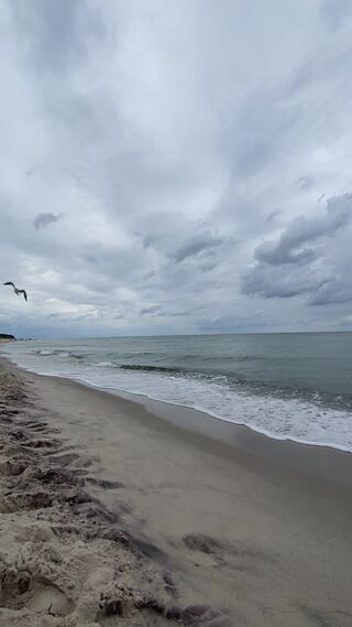 IMG_0037.mov