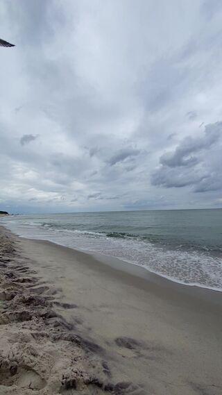 IMG_0037.mov