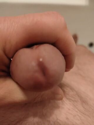 LIVE - 2026-09-04 23:21