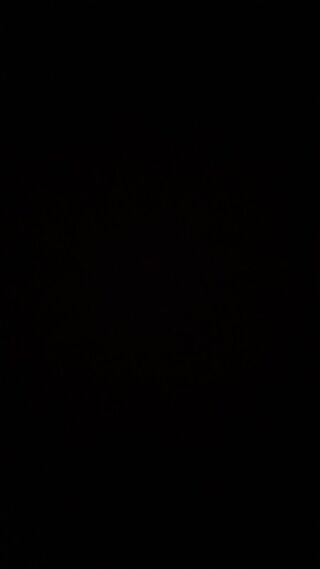 3799.mp4