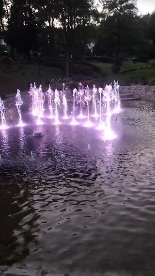1000022259.mp4