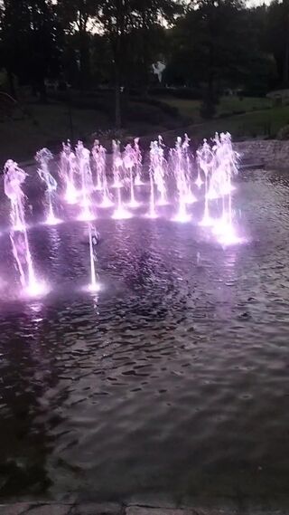 1000022259.mp4