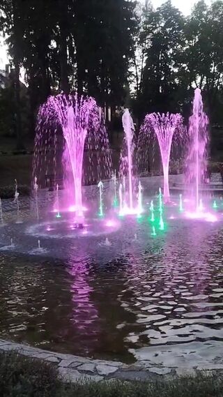 1000022255.mp4