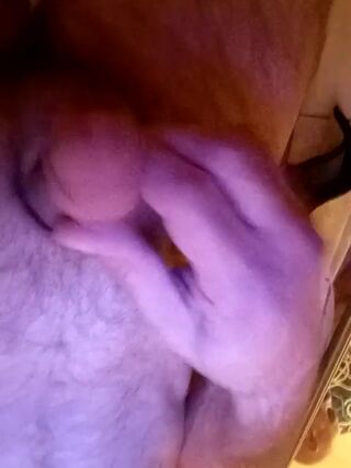 LIVE - 2026-09-08 08:22