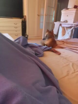 LIVE - 2026-09-10 06:44