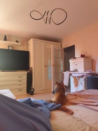 LIVE - 2026-09-10 06:44