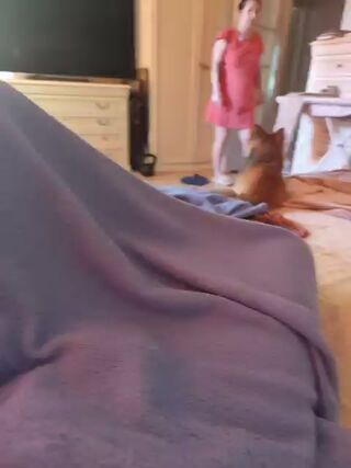 LIVE - 2026-09-10 06:45