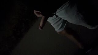 IMG_5896.mov