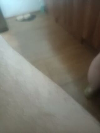 Rumcajsciekawy