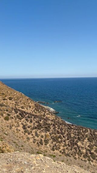 IMG_0943.mov