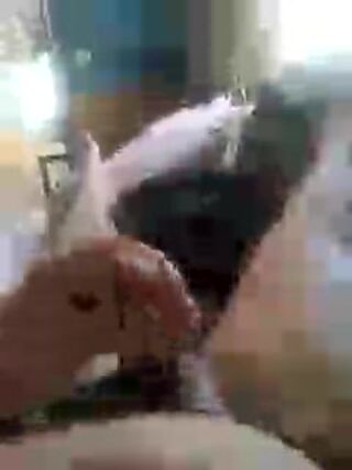 LIVE - 2026-09-17 12:24