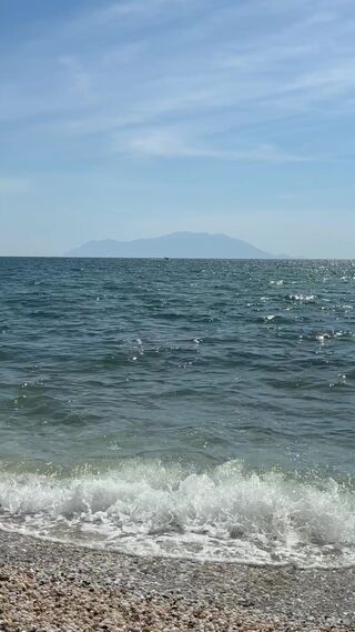 IMG_1067.mov