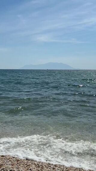 IMG_1067.mov