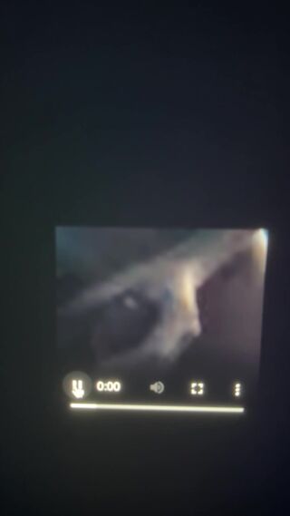 IMG_8524.mov