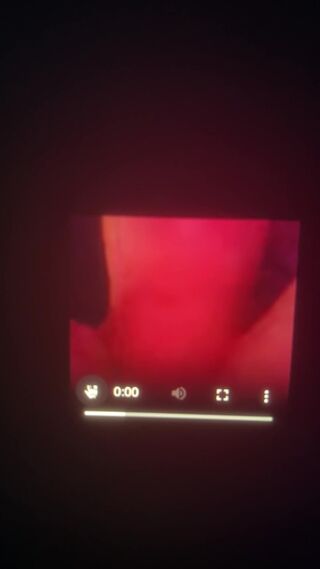 IMG_8523.mov