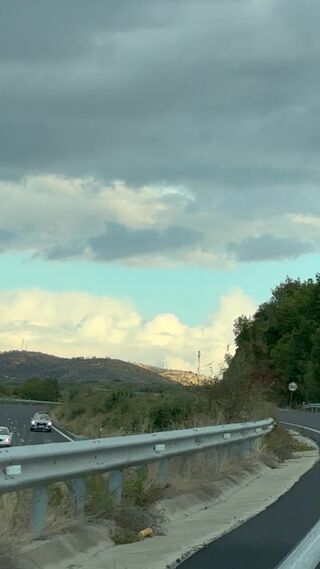 IMG_1124.mov