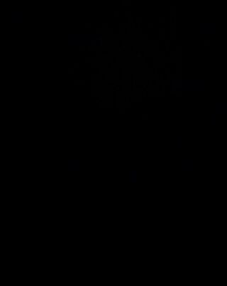 20260911_081353.mp4