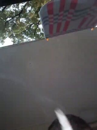 LIVE - 2026-09-29 06:32