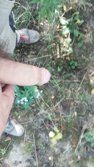 1000002719.mp4