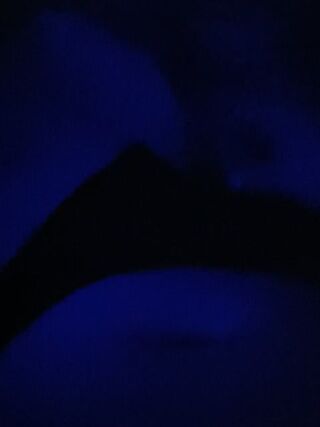 LIVE - 2026-10-03 05:36