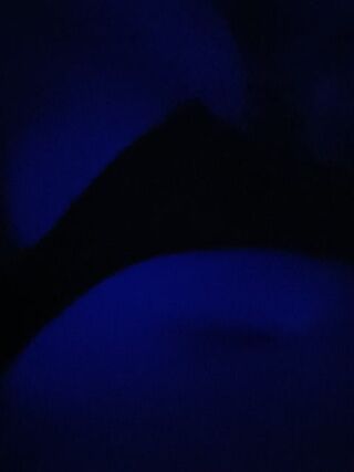 LIVE - 2026-10-03 05:36